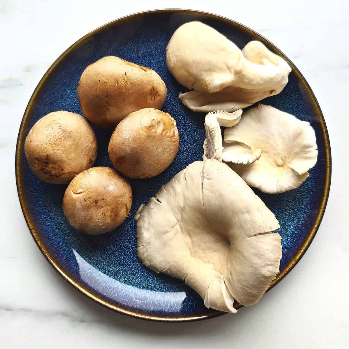 Cremini mushrooms and oyster mushrooms in a blue plate.