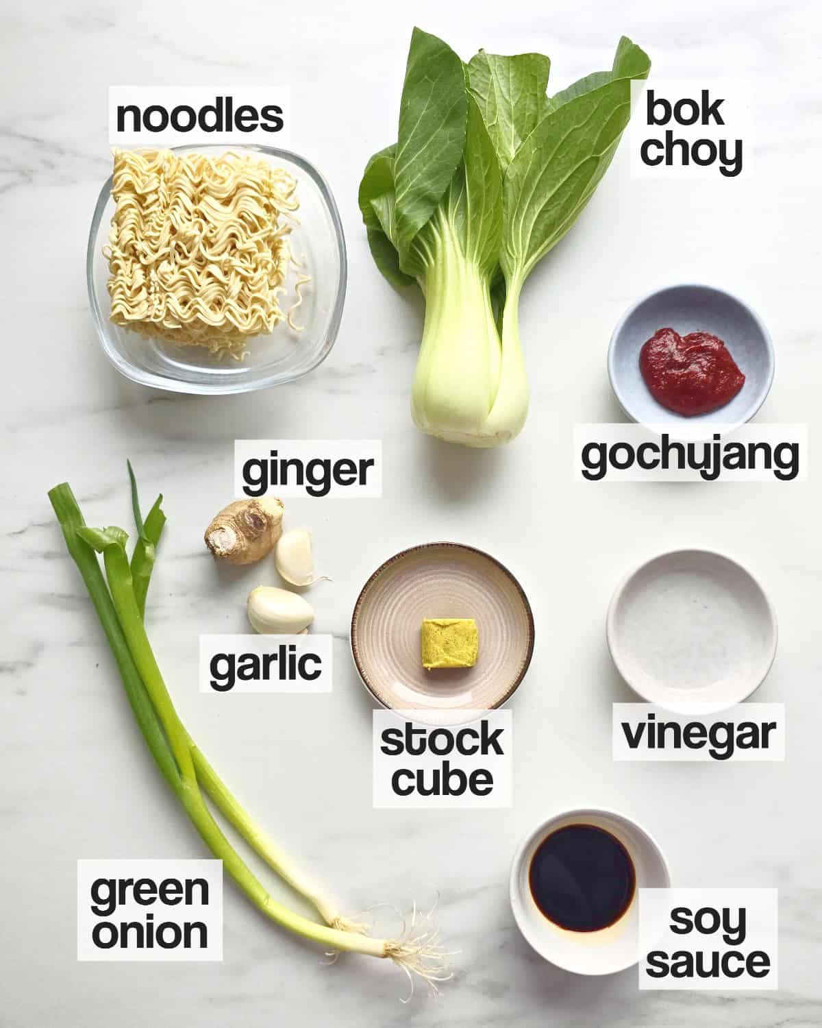 Labeled ingredients for noodle soup on a white background.