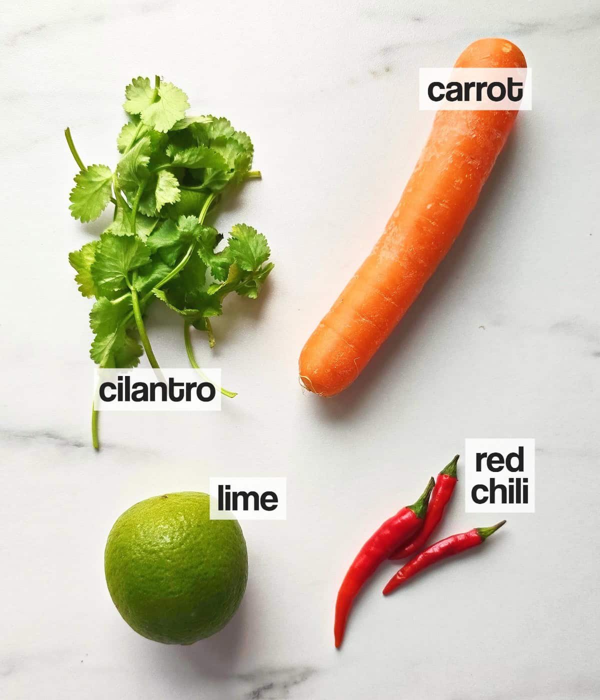 Labeled toppings for the noodle soup bowl on a white background.