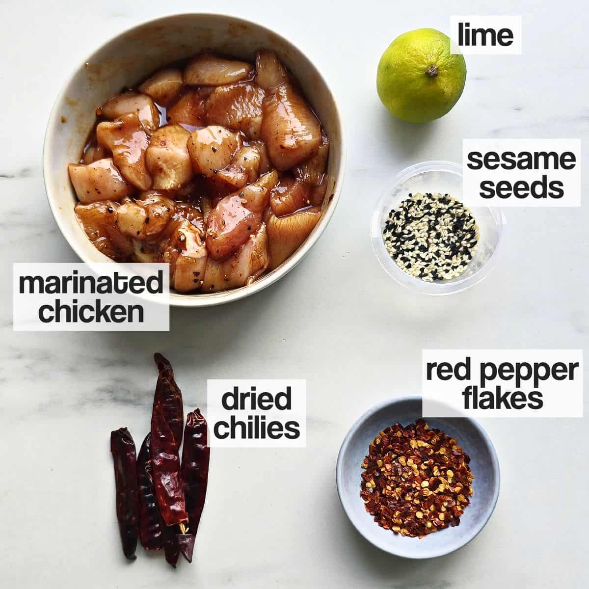 Labeled ingredients for making Firecracker Chicken